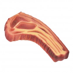 Mordedor Bisteca 20,5cm
