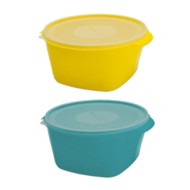 CREATIVE CONSERV 8L COLOR PLASMONT-0120