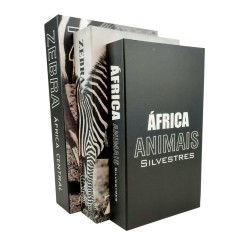 Conjunto De Livro Caixas Decorativas África Central 3 Peças 